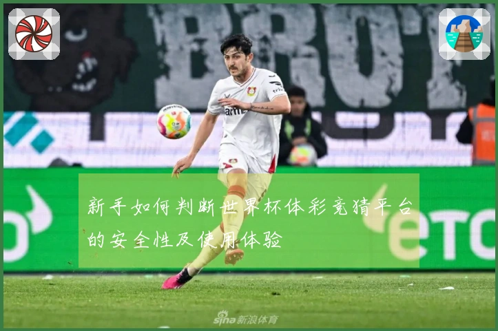 新手如何判断世界杯体彩竞猜平台的安全性及使用体验