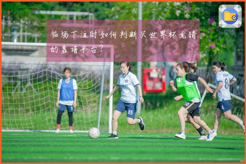 临场下注时如何判断买世界杯竞猜的靠谱平台？