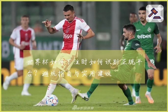 世界杯如何下注时如何识别正规平台？避坑指南与实用建议
